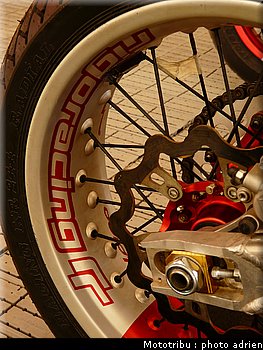 suzuki_davverio_seel_18.JPG