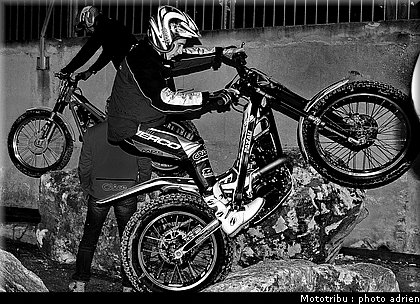 0005_brown_entrainement.jpg