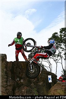 brown_1_trial_2012_angleterre_penrith.jpg