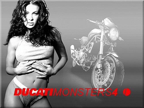 ducati-monster-4.jpg